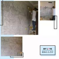 案例展示|?教授让自家也“鸭绿”一下