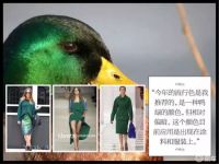 案例展示|?教授让自家也“鸭绿”一下