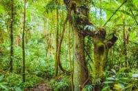 大自然地板带你穿越千年，揭晓地板那些事