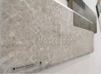 从科隆到广州 德硅•雷诺丽特惊艳亮相中国广州建博会