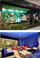 帝标家居|千亿软体红利瓜分在即，你准备好了吗？