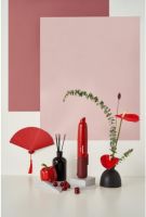 在国外被疯抢的高颜值神级吸尘器，究竟是什么神仙产品？