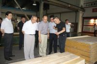 国家林业和草原局发改司等有关部门深入大亚集团调研