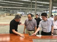 国家林业和草原局发改司等有关部门深入大亚集团调研