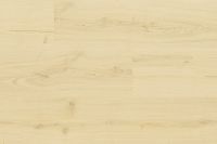 以技术C位出道的Wineo爆款木地板，颜值也非常nice！