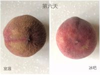 水蜜桃存6天状态大不同！用户朋友圈为证