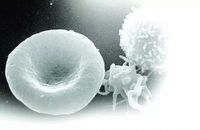 【YASLAN】震惊 超五分之一纸品不合格