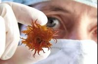 【YASLAN】震惊 超五分之一纸品不合格