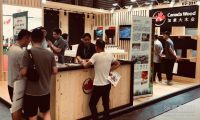 2019绿博会火热开启  加拿大木业精彩诠释绿色节能木结构建筑