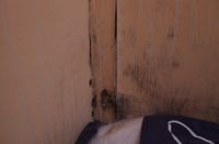 品格《梦享空间》第四期 让爱与品质填满自由空间