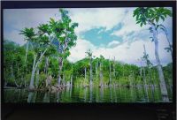 诠释高端生活新场景！三星家电新品齐聚羊城