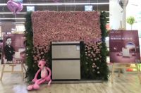 海尔网红柜联合苏宁易购隆重上市