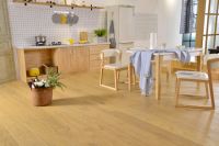 金钢铂林李文娟：敢“正面刚”的女总裁