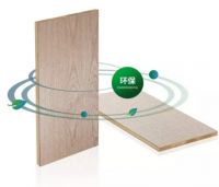 【NEW】兔宝宝双效生态板“科技环保 双效合一”