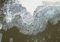 水污染的危害比战争更可怕？美而浦：健康饮水，迫在眉睫