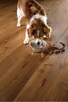 天生硬汉，经得起考验