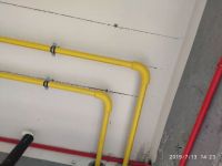 德国凯瑟GF·三层黄金管：满城尽带黄金甲