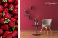 诱发你视觉味蕾的家居潮流浆果色，快来pick一夏