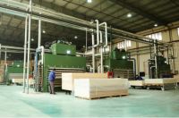 从“有没有”到“好不好”，大王椰板材为中国品质献力！