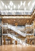 乾正设计 ︳東方懿德城～林中鸟巢，与森林共居