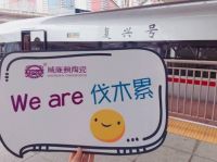 威廉顿复兴号列车8月全新出发，让你漫漫旅途不孤单！