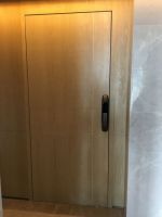 隐形装甲门推介：CEI高级公寓隐藏式门框隐形铰链钢木防火