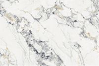 原来“微笑”，可以持续11年之久