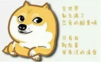 七夕│这波狗粮，我先记下了