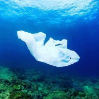 生活——我们需要活的时髦而环保