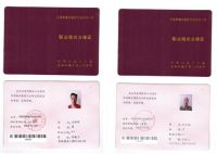 伊莎贝尔丨每天两块钱，你能为家人做些什么？
