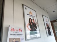圣堡罗高铁品牌专列发车，为品牌传播“加速度”