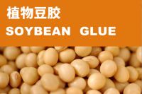 豆胶板成功上市，板材行业一件大事！