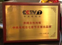 奔腾石墨烯自发热地板荣登央视：为老人和儿童制造的地板