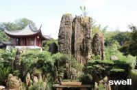 “智浴未来，大有作维”，四维衢州年中销售运营会议成功