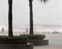 超强台风“利奇马”凌晨登陆，不同材质家居在高湿环境下