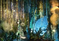 成都生日聚会最浪漫的地方，爱她就去specialday过浪漫的