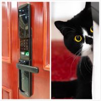 猫系指纹锁的吸引力有多强？樱花指纹锁8288开箱测评