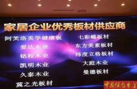 中欧科技净醛抗菌全屋定制饰面板全国发力