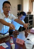 2019贝壳粉装饰壁材行业发展研讨会在北京召开