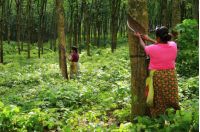 ARPICO（阿匹克）入驻优眠严选，强强联手赋能品质睡眠