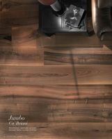 必美菲列德罗石家庄幸福家 | Jumbo Floor胡桃木 轻易实现家居贵族范儿