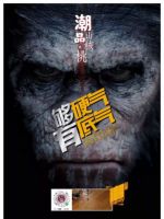 潮品季·潮木材 | 坚韧硬气的美国山核桃