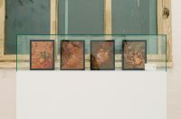 “弹跳森林-冰雪森林，纸中精灵”青年艺术家群展第二季启动