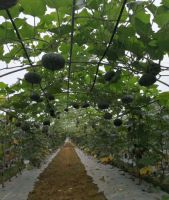 转型升级 皇图生态农业向智慧农业蜕变