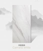 美物志丨600×1200卡拉拉白捕捉自然的灵动美