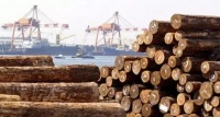我国木材贸易体制特点及相关贸易政策动向