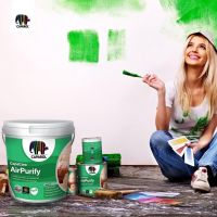 用标准守护行业健康  德爱威用匠心打造功能涂料