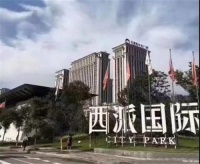 西派国际李先生四室两厅的选择！