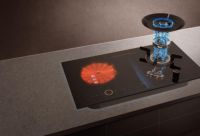 方太气电灶，让小家更有滋味