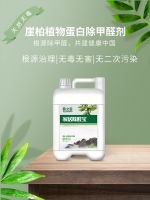 学校幼儿园除甲醛,居之宝助力打造健康校舍